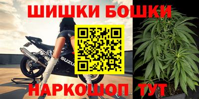 мет Кингисепп
