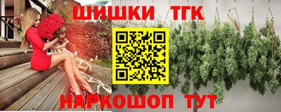 мет Кингисепп