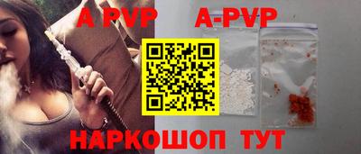 мет Кингисепп