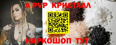 мет Кингисепп